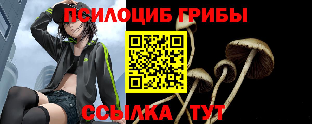Псилоцибиновые грибы ЛСД  Вход с VPN  Орехово-Зуево  Галлюциногенные грибы Psilocybine cubensis 