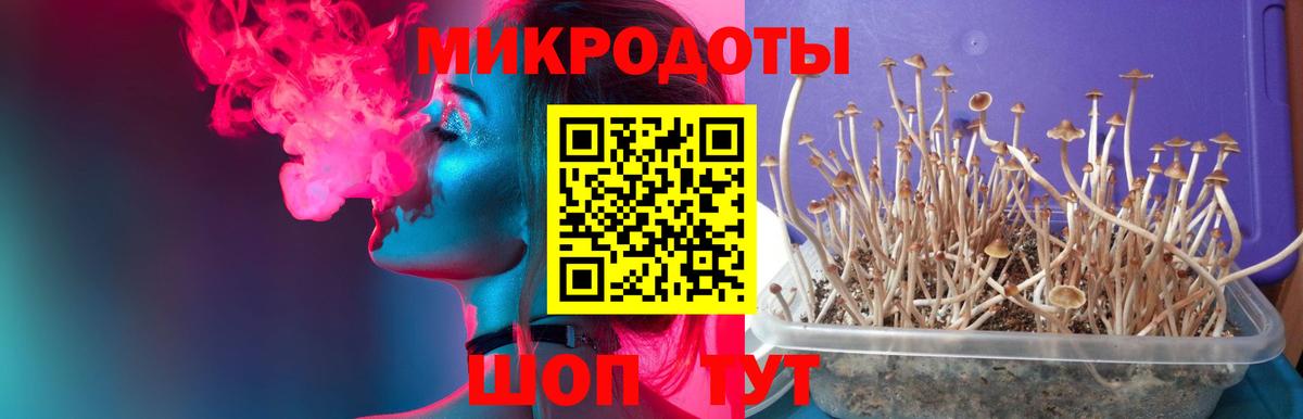 Галлюциногенные грибы мицелий Орехово-Зуево